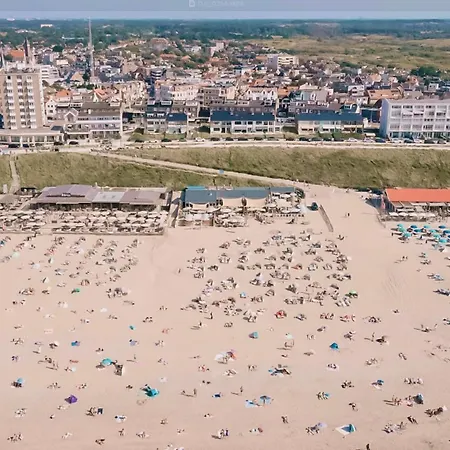 Amsterdam Dunes